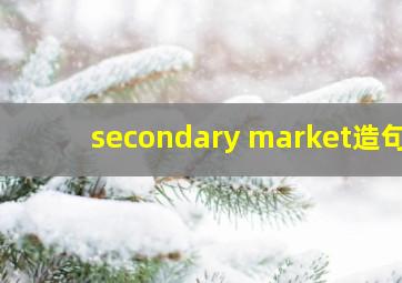 secondary market造句